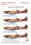 1:48 Kalkomanie SPITFIRE Mk.IX c - Techmod 48024
